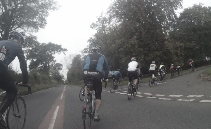 Embrace Your Inner&nbsp;Squeak