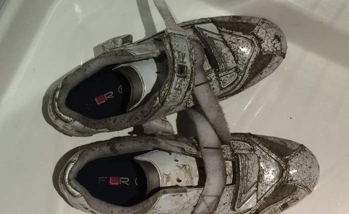 The House of Dying&nbsp;Flaggers