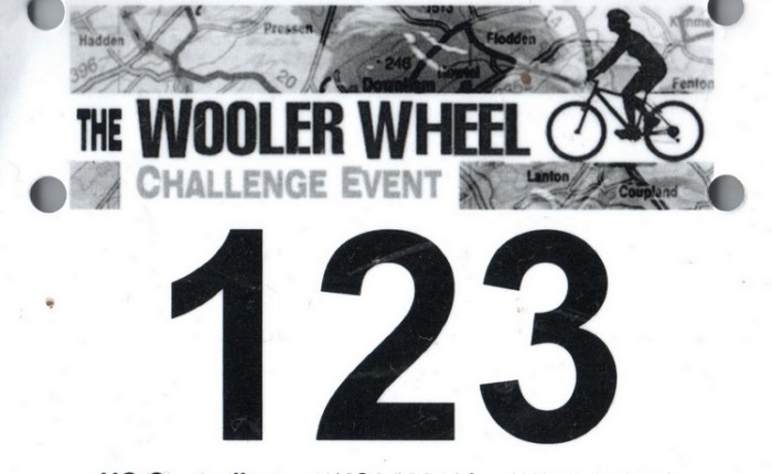 Wooler-Wooler-Huh, Tell Me More, Tell Me&nbsp;More…