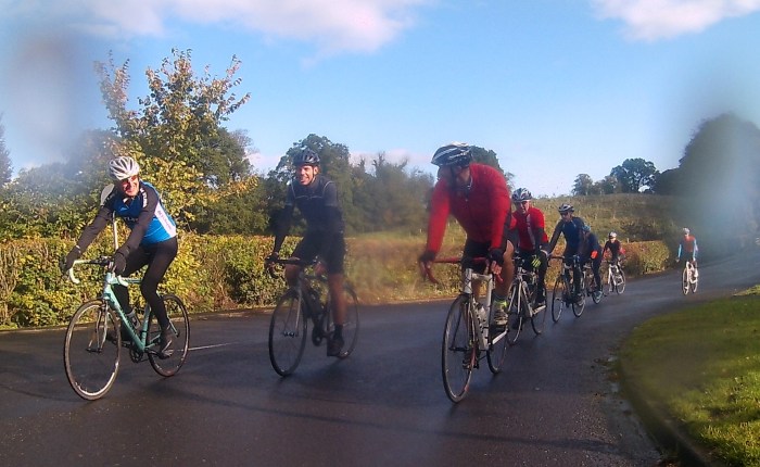 Carnal Gymnastics – The Sing-Along&nbsp;Version