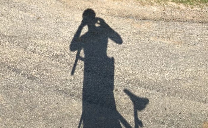 Plague Diaries –&nbsp;Week#4